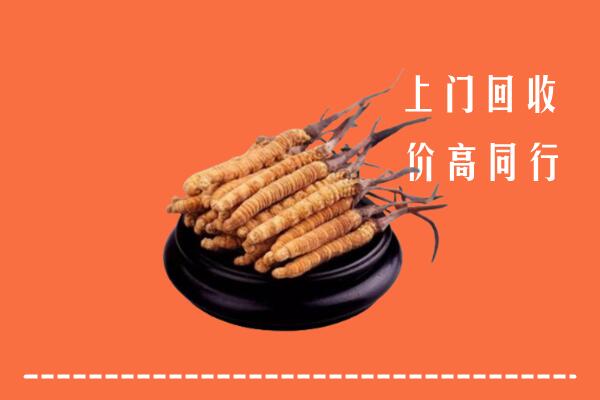 高价求购：应城市回收散虫草