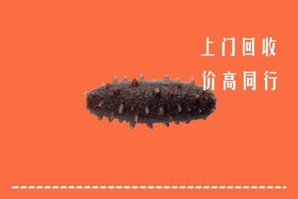 高价求购：应城市回收海参