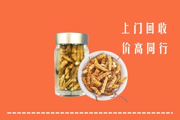 应城市回收冬虫夏草