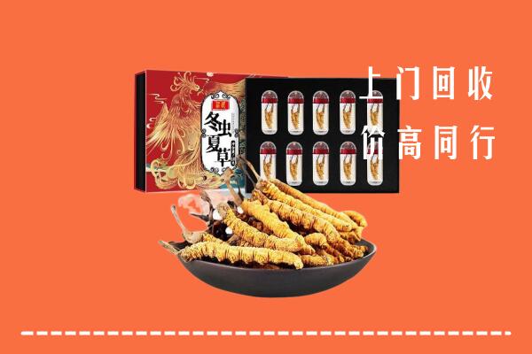应城市回收虫草